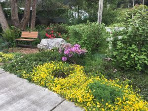 Shirley's Pocket Park